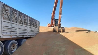النائب المعموري يعود بـ”حزورات”: عدس يصل خلال يومين وشاي لا ندري لمن بعناه؟