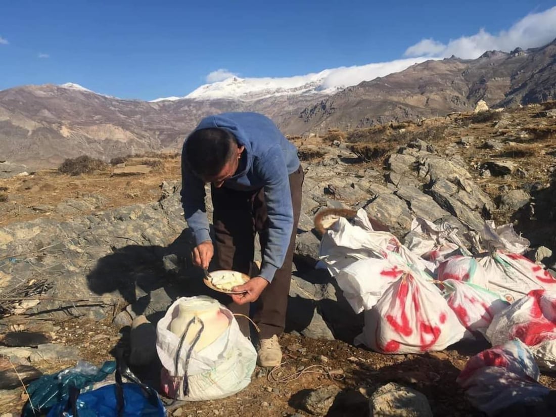 له ‌بنارى قه‌ندیل كاتى ده‌رهێنانى په‌نیره‌ له‌ كونه‌پێسته‌كان