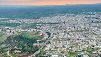 Koya launches renewed campaign to round up and relocate stray dogs