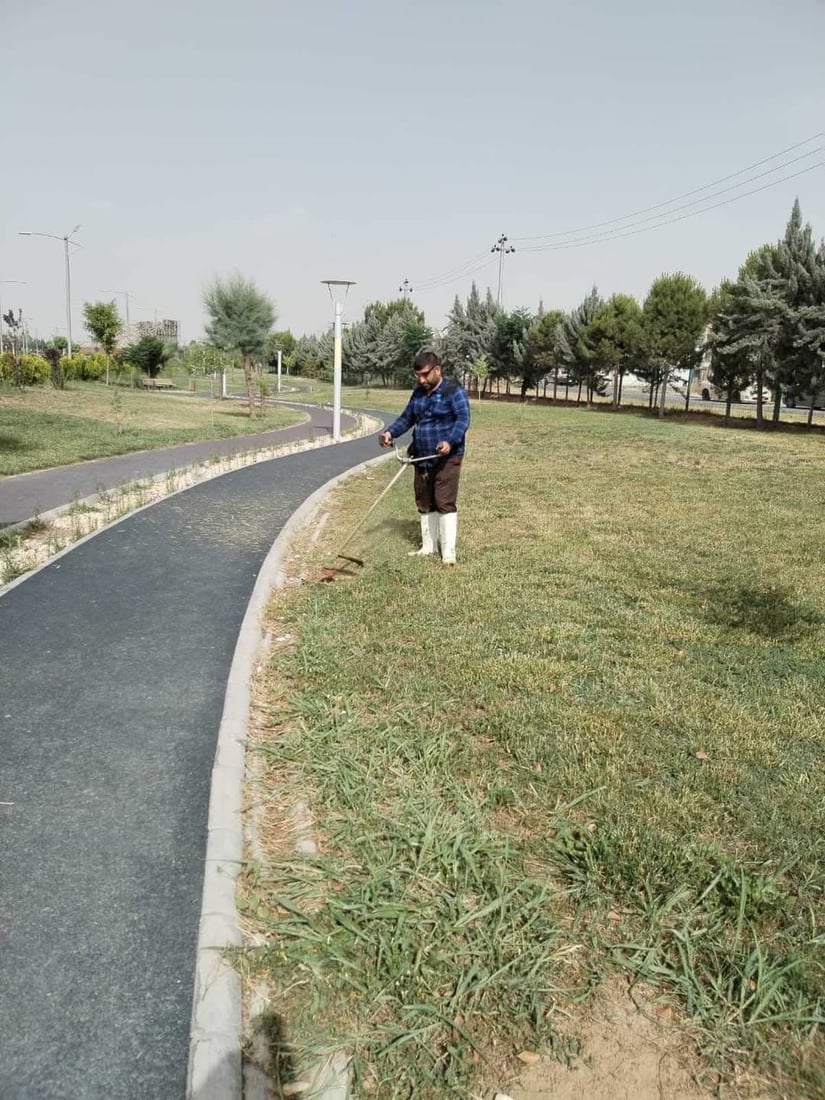 صور: أربيل تضع اللمسات الأخيرة على حملتها الكبرى لتقليم أشجار المدينة