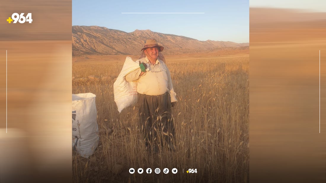 شێخ جەمالی گرپچنە بووە ئەندامی لێکۆڵینەوەی زانکۆیەکی هۆڵەندی