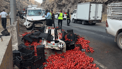 کوڕ و دایکێک گیانیان لەدەستدا؛ لە رووداوێکى هاتوچۆدت