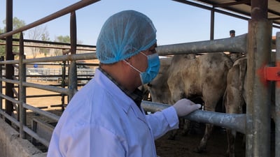 هەڵمەتی هوشیارکردنەوەی تای خوێنبەربوون لە کوشتارگەی هەولێر بەڕێوەچوو