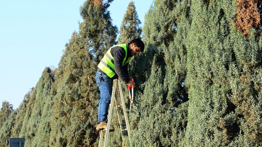 هەڵمەتێکی بەرفراوان لە هەولێر دەستیپێکرد