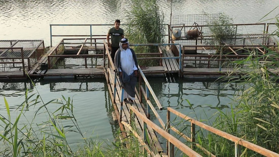 الناصرية: 92% من أقفاص السمك خارج الخدمة بسبب الجفاف (صور)