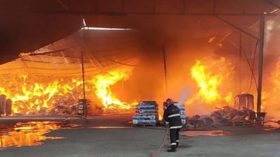 نفوق 30 رأس ماشية بحريق غامض في حظيرة حيوانات بالجبايش