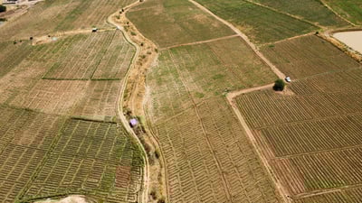 کەمئاوى مەترسى بۆ سەر کشتوکاڵ و حەوزەکانى ماسى دروست کردووە