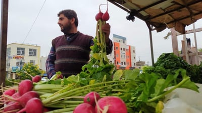 تا ئێستا زانیوتە تووری کەلار بۆ هێندە بەناوبانگە؟