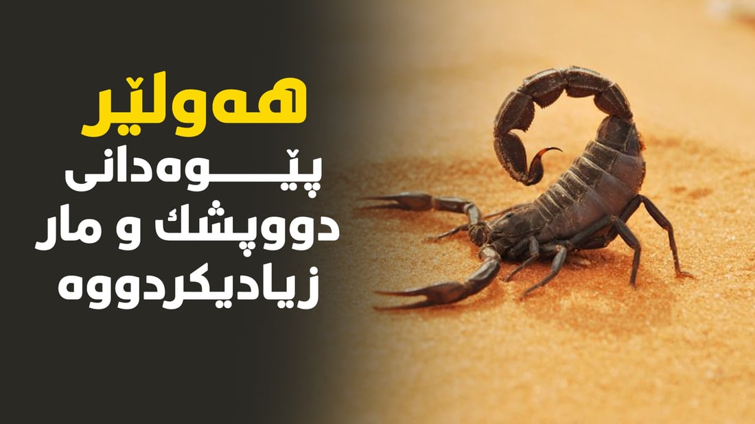 له‌ هه‌ولێر پێوه‌دانى دووپشك و مار زیادی كردووه