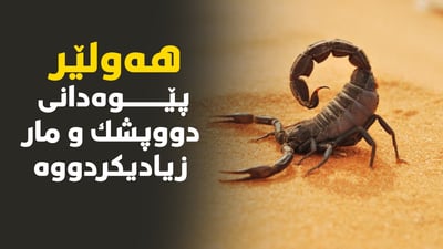 له‌ هه‌ولێر پێوه‌دانى دووپشك و مار زیادی كردووه