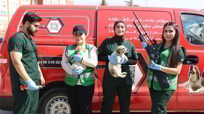 Sulaymaniyah veterinary students relocate stray dogs as part of animal welfare campaign
