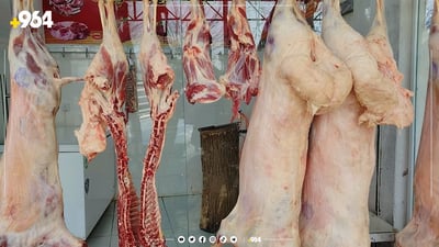 الصحة تعلن نتيجة فحص لحوم الناصرية: لا تعود للخنازير