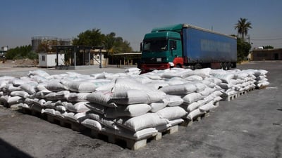 العراق يصدر 2000 طن من القشور الصابونية لسوريا والأردن ومصر (صور)