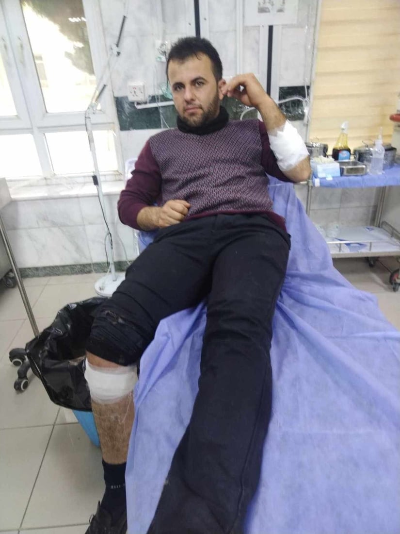 سەگه‌ بێلانەكانى كۆیە رەوانەی شێڵتەرەكەی هەولێر دەكرێن