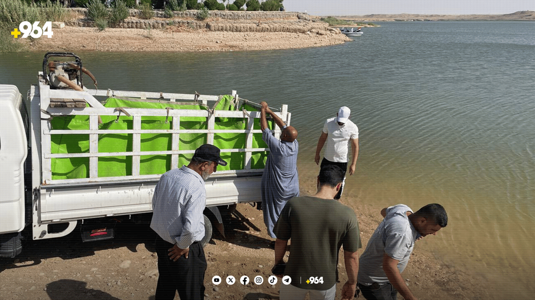 خێرخوازان پەنجە ماسی دەخەنە بەنداوی ئەڵوەن