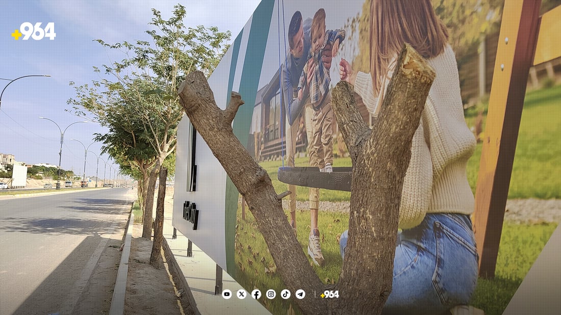 له‌ كه‌لار بۆ تابلۆیه‌كی ریكلام چه‌ند دارێك له‌ناوده‌برێن