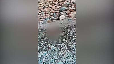 شاهد: السليمانية هزمت “الواوي” الفاتك الخانق.. كلاب الحراسة وصلت