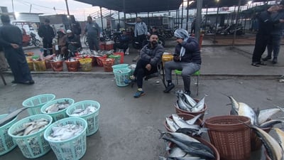رياح جنوبية دافئة مكّنت الصيادين من العودة بأسماك وفيرة إلى مرسى النقعة (صور)