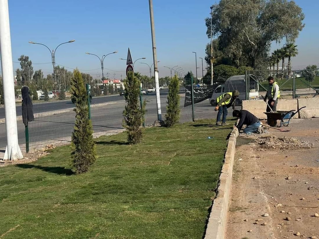 200 مەتر فریز لە بلواری نێوان شەقامەکان دەچێندرێت