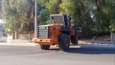 الزبير تطرد الأسود والحيوانات المفترسة من حديقة المرشد: قرار قضائي بات وملزم