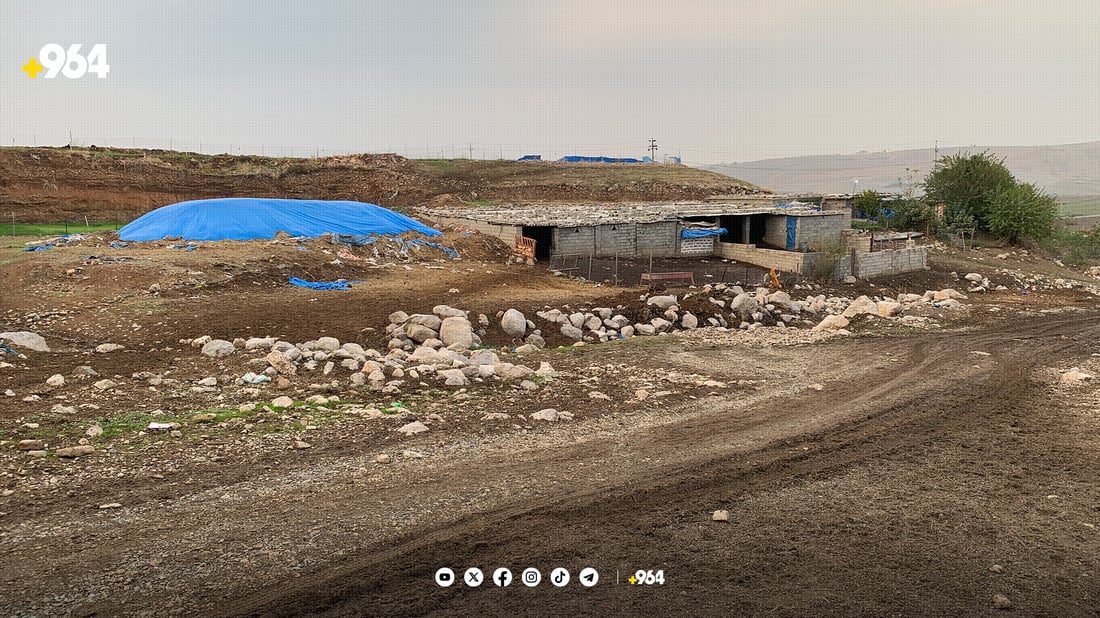 نەخۆشیەکی دەگمەن لەناو مێگەلە مەڕەکانی سنووری پشدەر بڵاوبووەتەوە