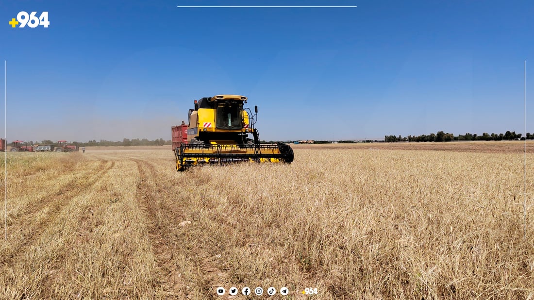 تەرزە و بارانەکەی گەرمیان زیانی بە 30٪ی بەرهەمی جوتیاران گەیاندووە