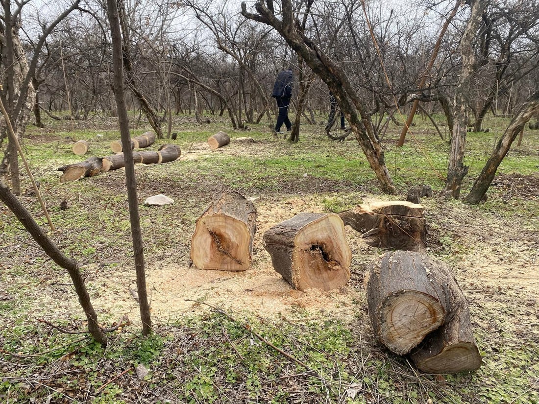 ژینگه‌ى هه‌ڵه‌بجه‌ رێكارى یاسایی به‌رامبه‌ر دوو سه‌رپێچیكار ده‌گرێته‌ به‌ر