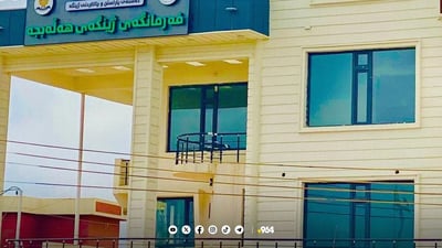 Halabja records rise in unauthorized logging due to high cost of fuel