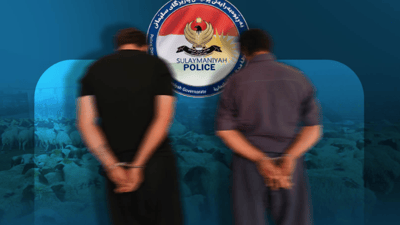 ئیش و کەسابەتیان دزینی مەڕوماڵات بوو؛ دەستگیر کران