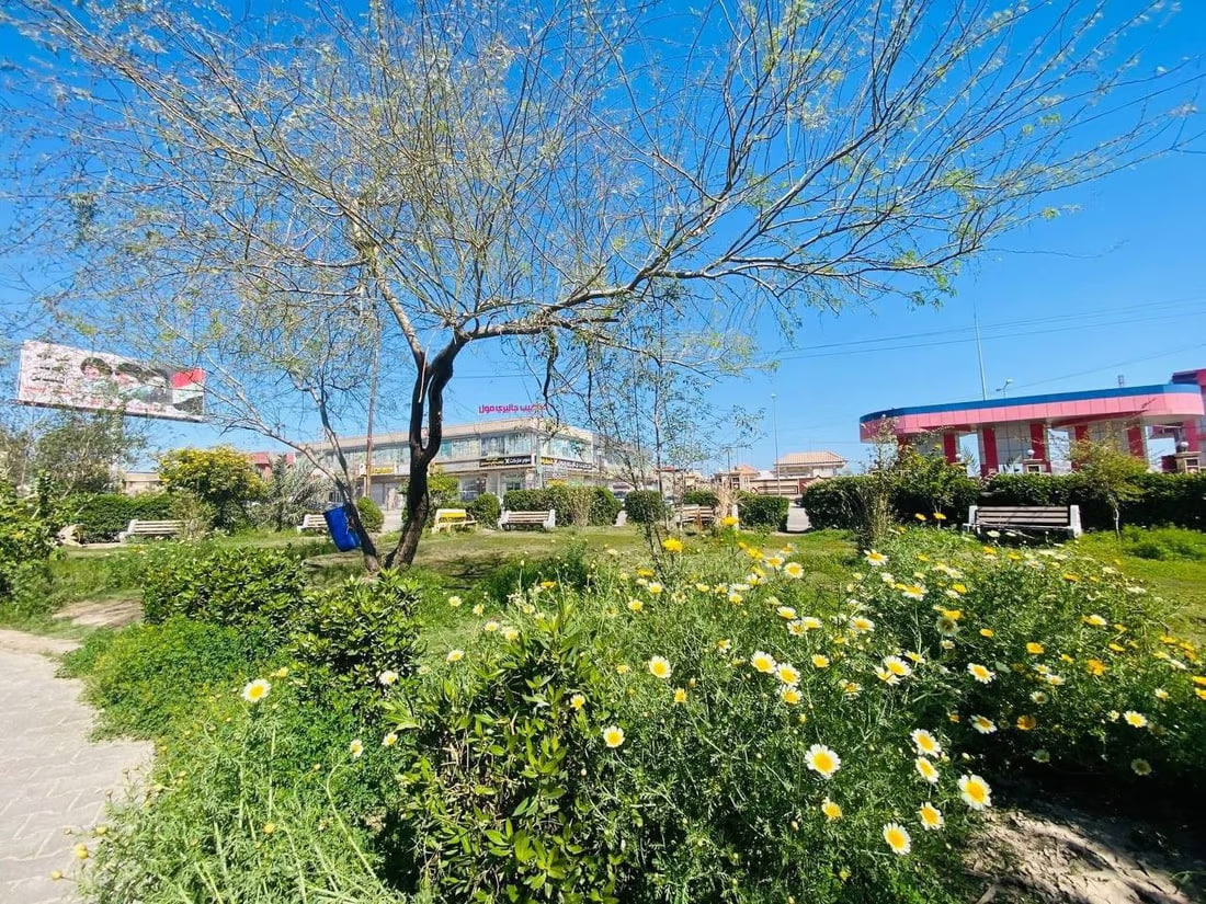 Abu Al-Khaseeb municipality launches major planting campaign