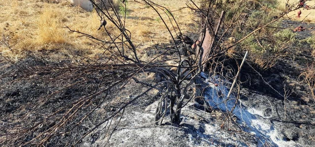 بە تۆمەتی سووتانی 60 هەزار دار هاوڵاتییەک دەستگیرکرا