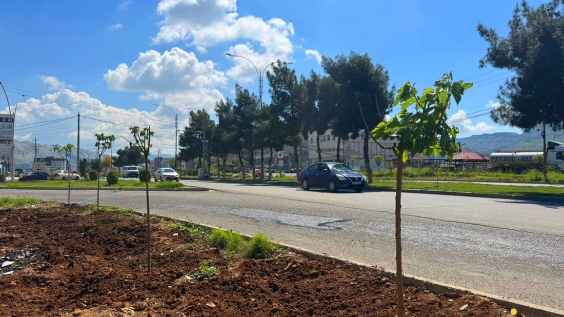 لەناو سەنتەری دهۆک بە درێژایی 8 کیلۆمەتر  1000 دار “توو” چێندران