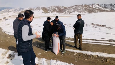 Wildlife protection measures launched after heavy snowfall in Penjwen