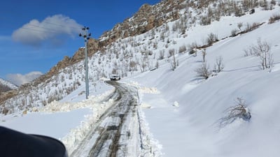 رێگای زینی کەڵێتە لە وەرتێ کرایەوە