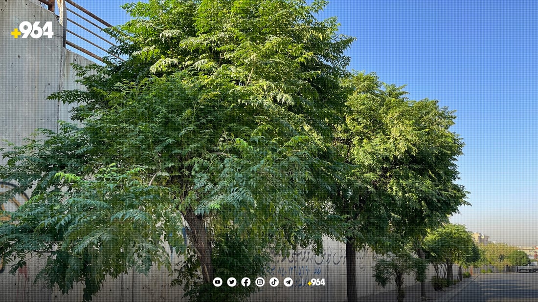 سلێمانی مەترسی لەسەر نەما