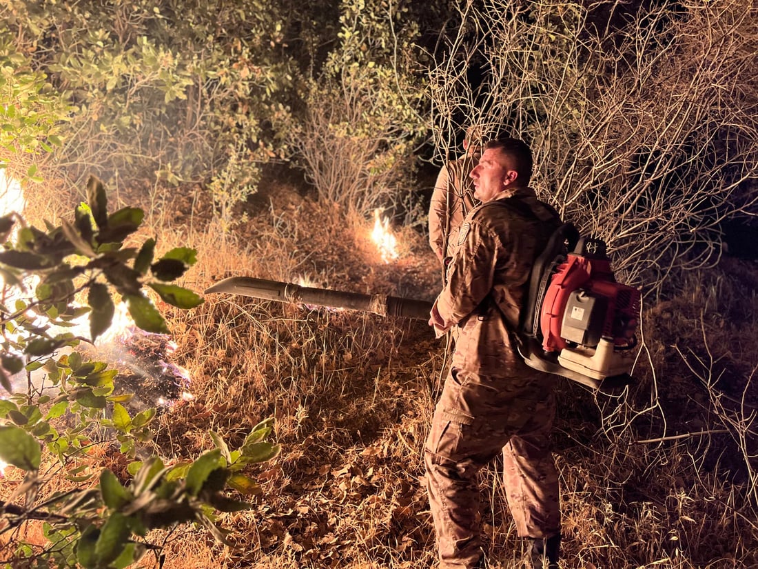 <?php echo get_the_title() ?>