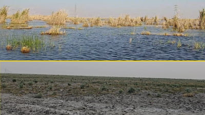 Severe water shortages threaten Hor Um Al-Wada in Dhi Qar