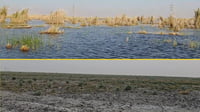 Severe water shortages threaten Hor Um Al-Wada in Dhi Qar