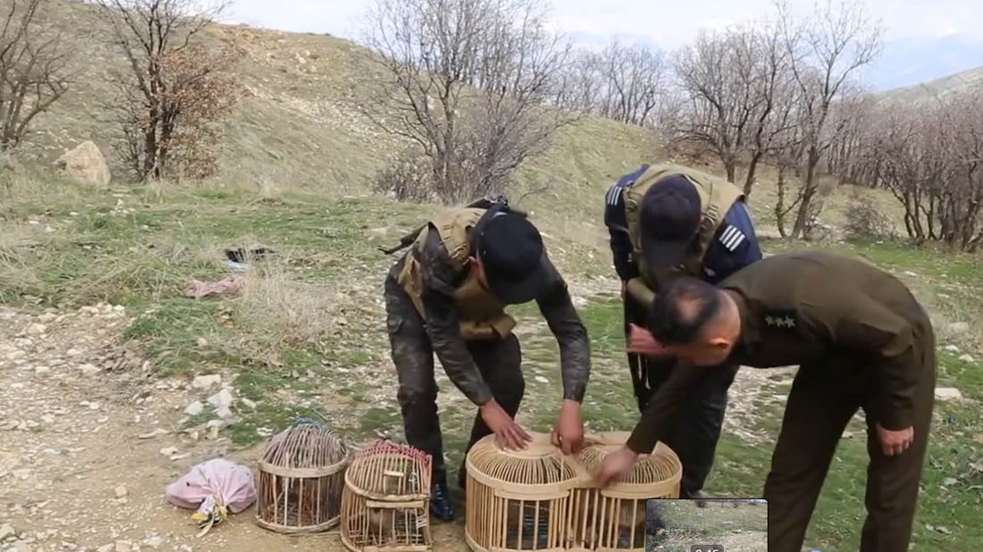 سێ تۆمەتبار دەستگیرکران و ژمارەیەک باڵندە ئازاد کران