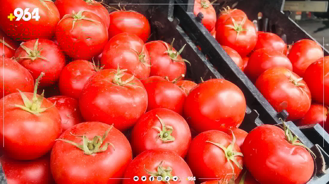 بەرهەمی ئێرانی نەبێت نرخی تەماتە رکابەری پیاز دەکات