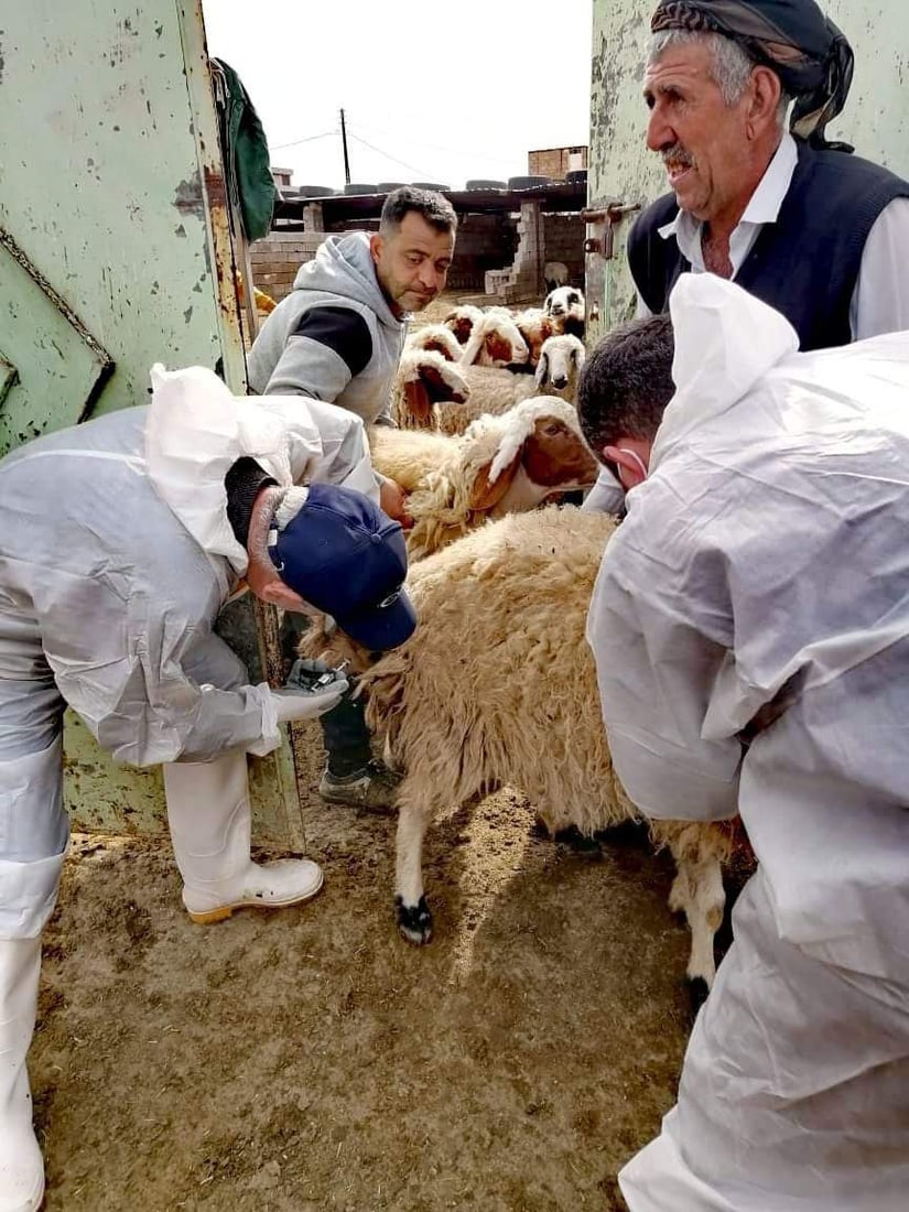 خورماتوور هه‌ڵمه‌تێكی ده‌ستپێكردووه‌ بۆ سەلامەتی ئاژه‌ڵ و باڵنده‌ و مرۆڤه‌كان