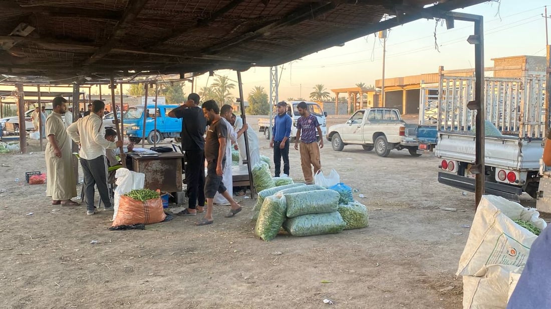 زراعة أبو غريب ليست بخير.. أمطار أيار هي السبب وحر حزيران (صور وأسعار)