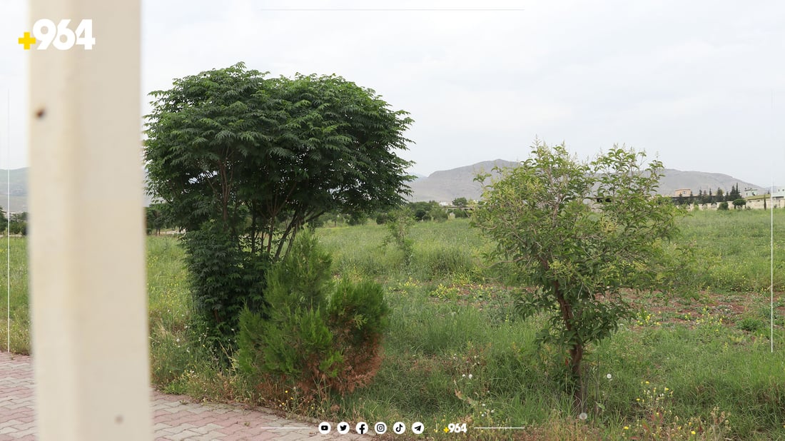  80 هەزار دانیشتووی حاجیاوا بێ پارکن