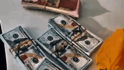 بابل تفكك شبكة تزوير وتضبط 5 شدات ومسدس كولمبي وأدوات “سحر وشعوذة”