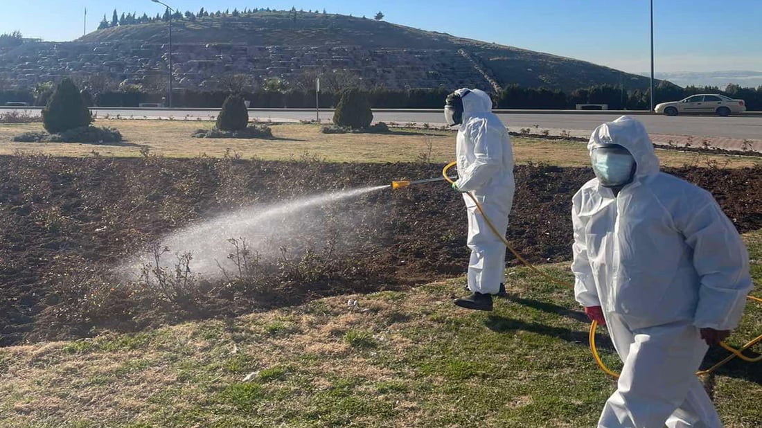 هەواری شار دژ بە گەرای کرمی حەفار دەرمانڕێژی پارکەکەی دەکات