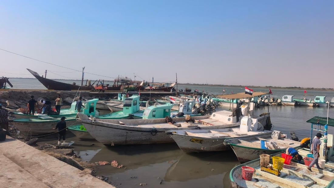 الصبور يرفع الراية البيضاء.. والسلطان إبراهيم يسيطر على مرسى الفاو