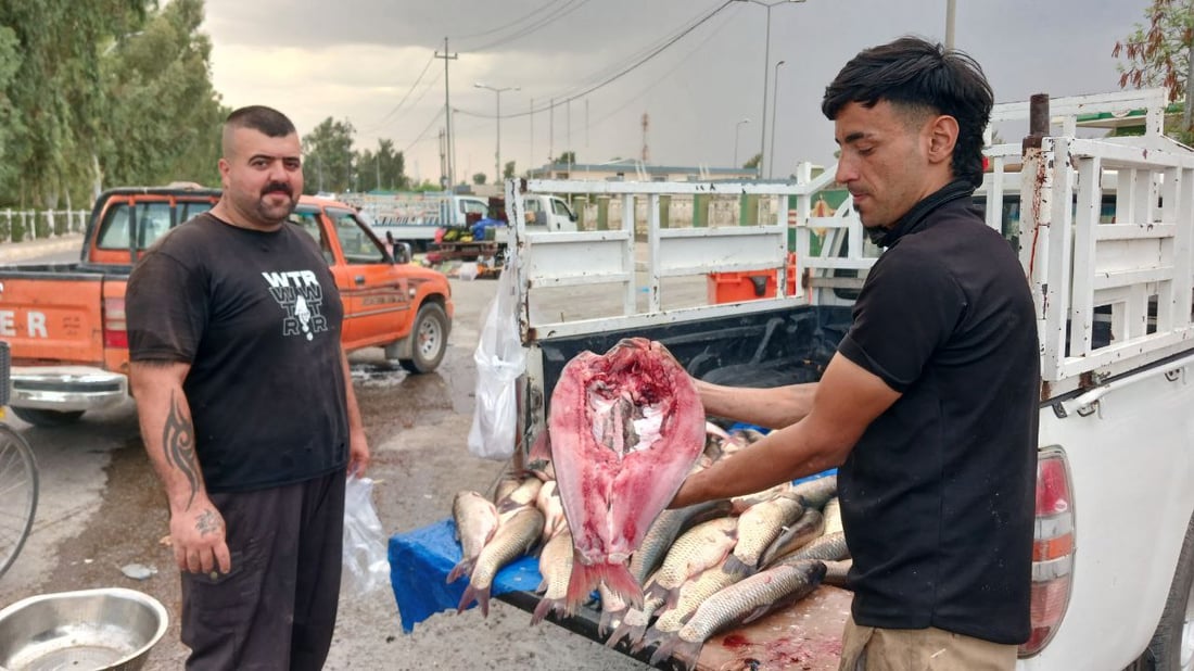 عاد السمك إلى آلتون كوبري والكيلو 5 آلاف.. شباك “قية باشي” وسط الزاب