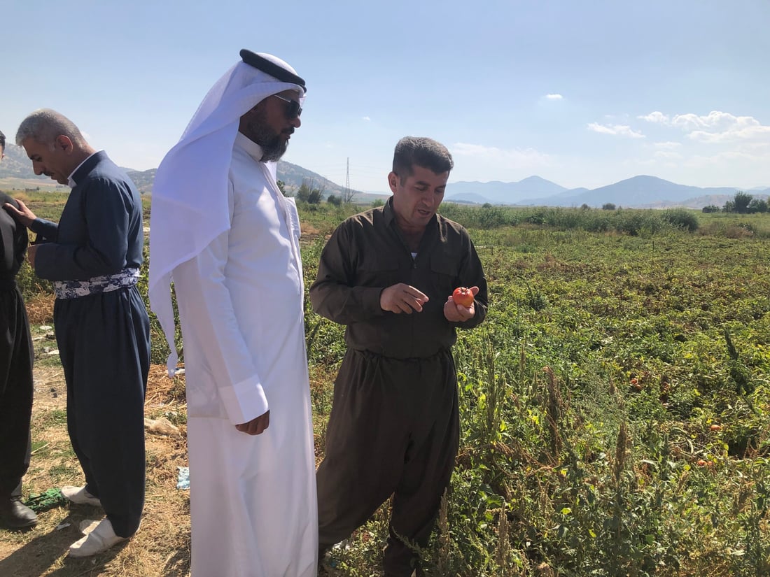 غەمی بەرهەمەکانی خۆیان جوتیارانی بەسڕە دەهێنێتە پێنجوێن