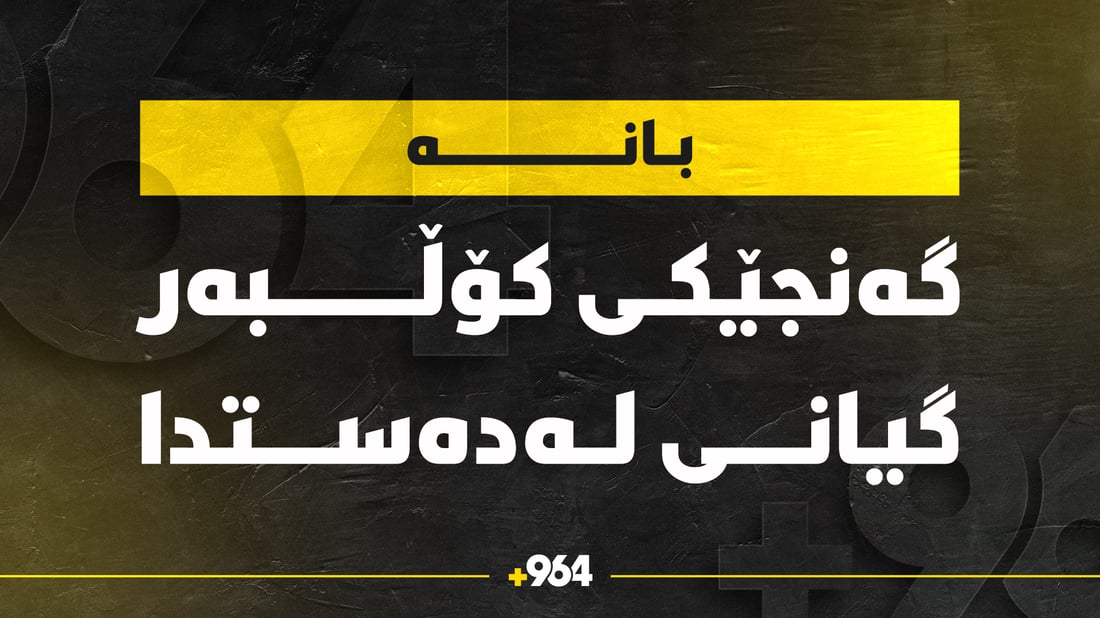 کۆڵبەرێکی خەڵکی سەردەشت بە تەقەی هێزە ئەمنیەکان گیانی لەدەستدا