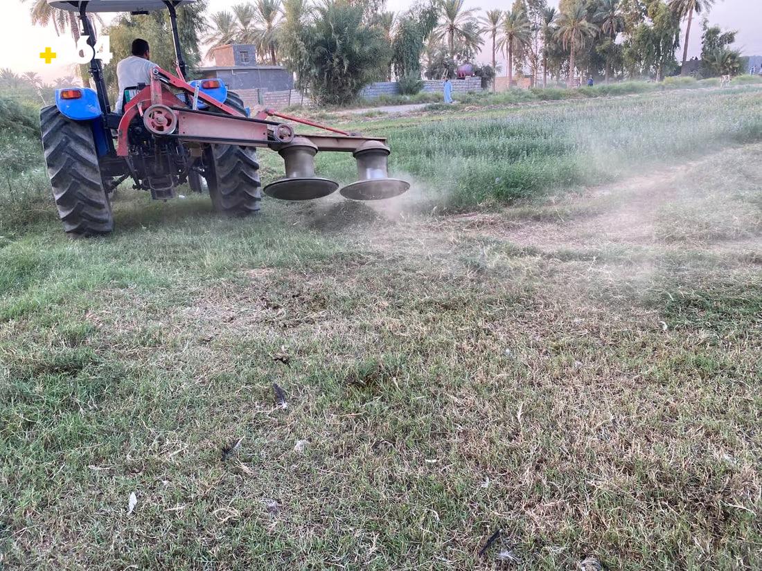 964mediaصورة من منصة (شبكة): 